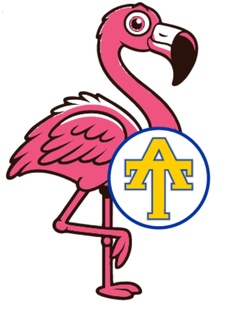 Flamingo-ing: First week overview